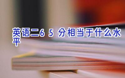 英语二65分相当于什么水平