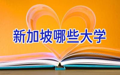 新加坡哪些大学