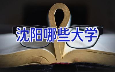 沈阳哪些大学