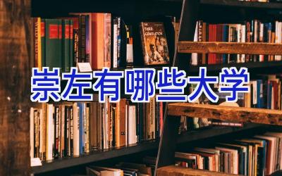 崇左有哪些大学