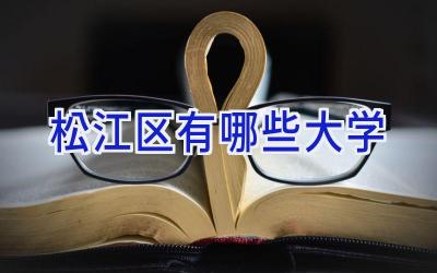 松江区有哪些大学