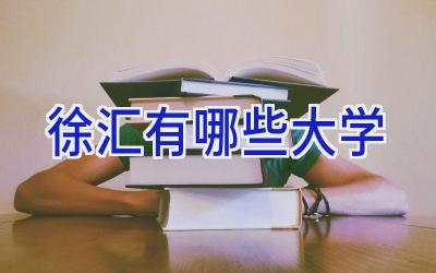 徐汇有哪些大学