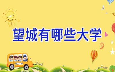 望城有哪些大学
