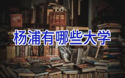 杨浦有哪些大学