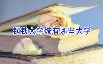 钢铁大学城有哪些大学