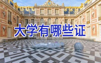 大学有哪些证