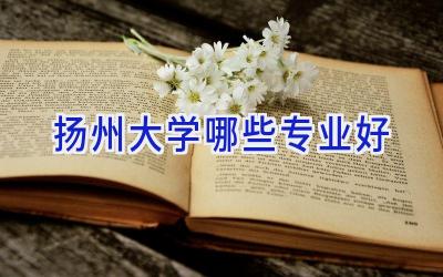 扬州大学哪些专业好