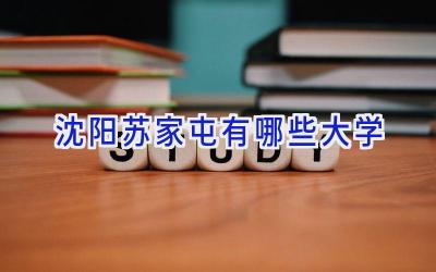 沈阳苏家屯有哪些大学