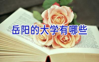 岳阳的大学有哪些