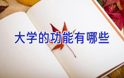 大学的功能有哪些