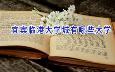宜宾临港大学城有哪些大学