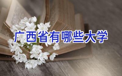 广西省有哪些大学
