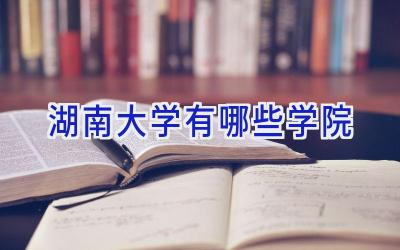 湖南大学有哪些学院