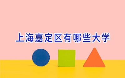 上海嘉定区有哪些大学