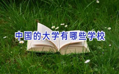 中国的大学有哪些学校
