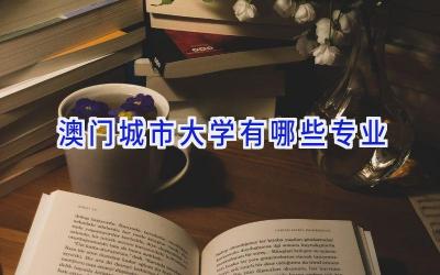 澳门城市大学有哪些专业