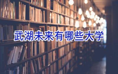 武湖未来有哪些大学