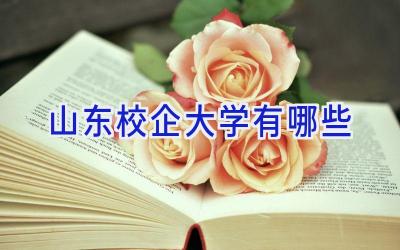 山东校企大学有哪些