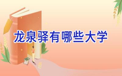 龙泉驿有哪些大学