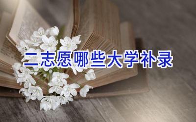二志愿哪些大学补录