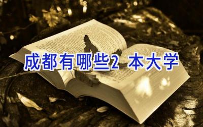 成都有哪些2本大学